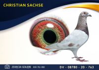 DV 08780 20 763 ***