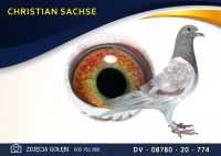 DV 08780 20 774 ***