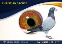 DV 08780 20 777 ***
