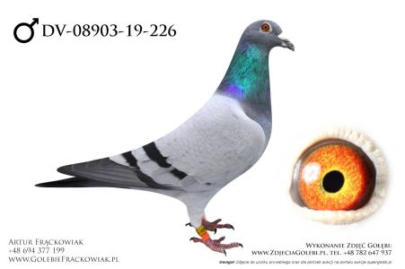 DV-08903-19-226_1 - M Wouters