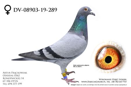 DV-08903-19-289 - 100% Marcel Wouters