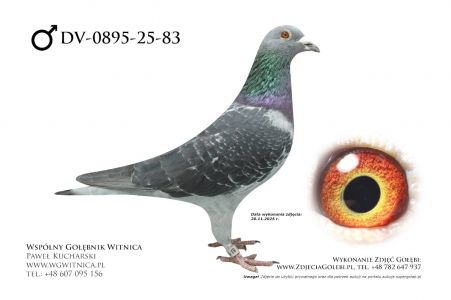 DV-0895-25-83: Leonhard Piontek