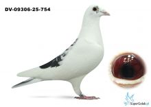 DV-09306-25-754 Dirk van den Bulck x Marcel Wouters