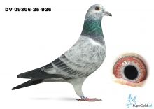 DV-09306-25-926 Bindacz x Dirk de Beer 