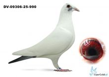 DV-09306-25-990 Dirk van de Bulck x Marcel Wouters