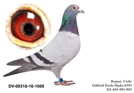 DV-09318-16-1000  org. KAHL , Sohn