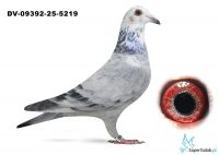 DV-09392-25-5219 - Leideman x Roeper