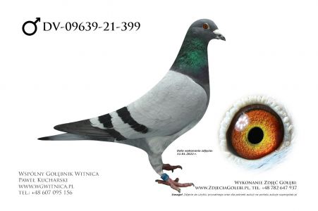 DV-09639-21-399: Mahlow Andreas