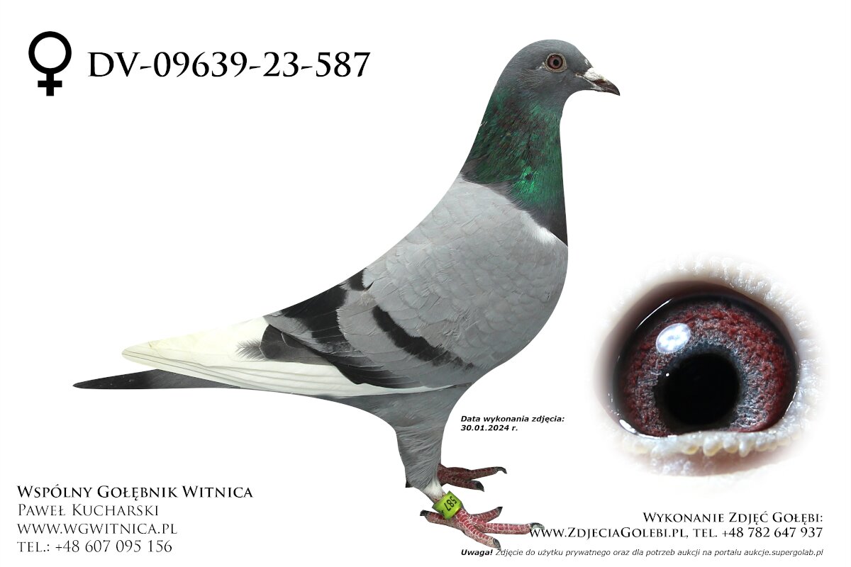 DV-09639-23-587: AMahlow - UHinz, m in 15m z EXTRA FINAŁU