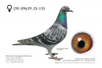 DV-09639-25-155: Andreas Mahlow, 59. Lotnik, m in 32m z FINAŁU