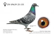 DV-09639-25-155: Andreas Mahlow, 59. Lotnik, m in 32m z FINAŁU