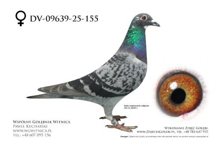 DV-09639-25-155: Andreas Mahlow, 59. Lotnik, m in 32m z FINAŁU