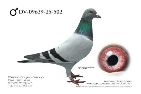 DV-09639-25-502: AMahlow - UHinz