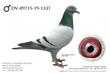 DV-09715-19-1337 - Reinhard & Ina Muhl