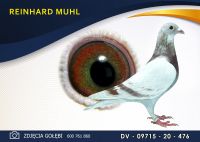 DV 09715 20 476 Oryginał MUHL REINHARD - Wnuk
