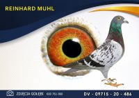 DV 09715 20 486 Oryginał MUHL REINHARD - HERBOTS - Wnuk Yvana