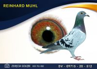 DV 09715 20 512 Oryginał MUHL REINHARD - Wnuk