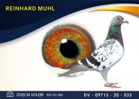 DV 09715 20 533 Oryginał MUHL REINHARD - Wnuk
