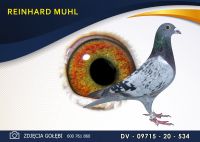 DV 09715 20 534 Oryginał REINHARD MUHL - HERBOTS