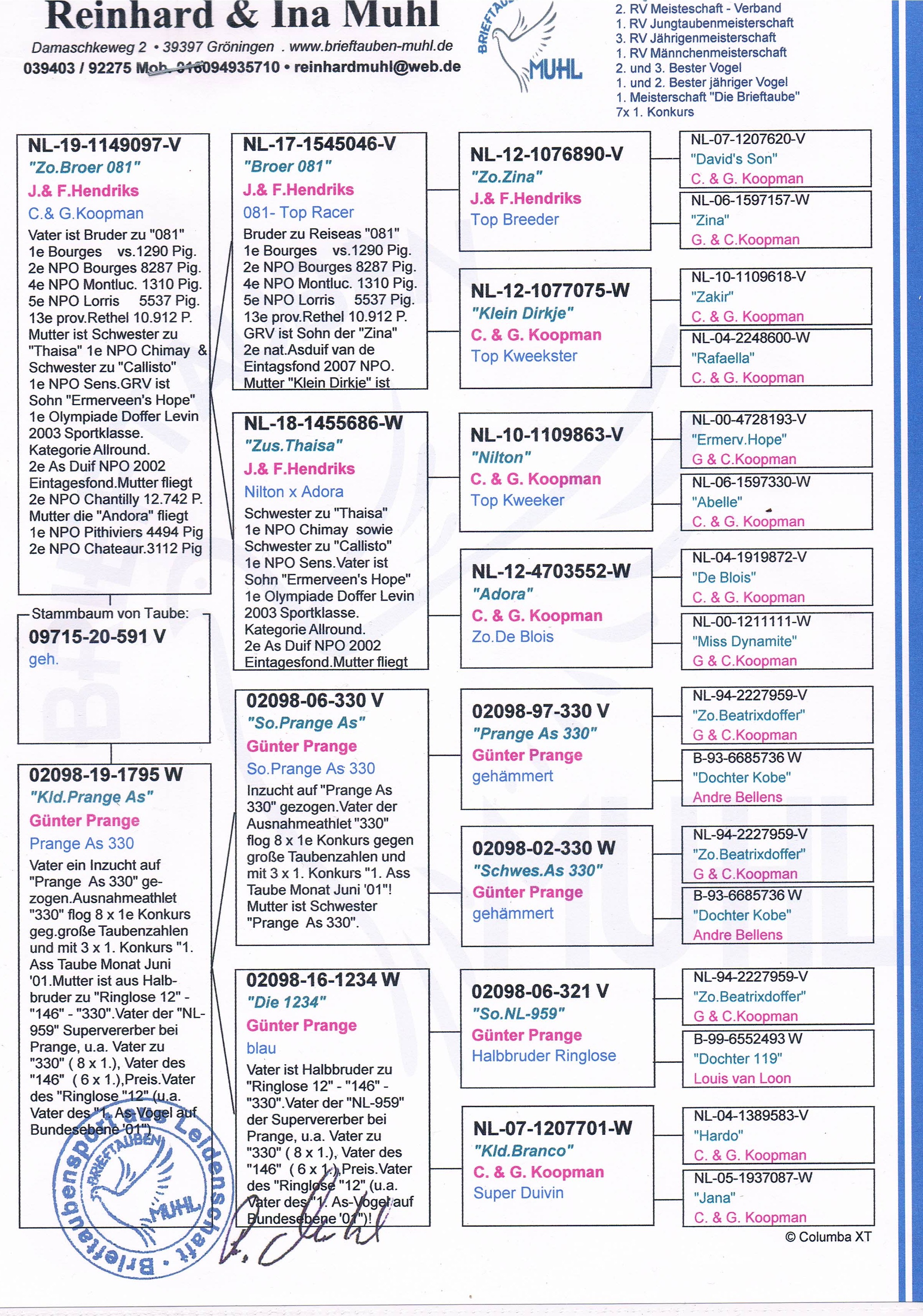 Dv 591 Oryginal Muhl Reinhard C G Koopman X Gunter Prange Golab Mlody Profesjonalny Portal Aukcyjny Golebi Pocztowych Golebie Od Mistrzow Polski Golebie Olimpijskie Najlepsze Hodowle Z Belgii Niemiec Holandii