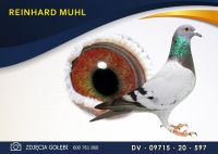 DV 09715 20 597 Oryginał MUHL REINHARD - Wnuk 2 x