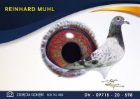 DV 09715 20 598 Oryginał MUHL REINHARD - Wnuk 2 x