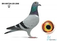 DV-09724-25-298