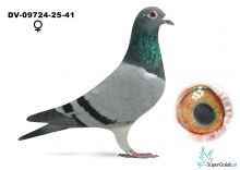DV-09724-25-41