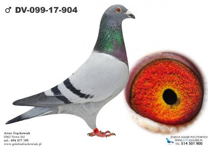 DV-099-17-904 - Paul Huls - linia De Monnik