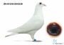 DV-1218-26-6339 Marcel Wouters linia Den ADD de Leeuw