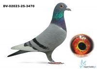 DV-2023-25-3470 - Heinz Bindacz