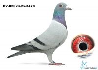 DV-2023-25-3478  100 % Van DICK