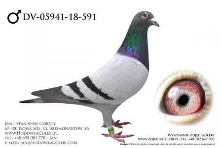 DV-5941-18-591 - całkowita likwidacja hodowli