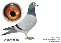 DV-9318-18-0390 org. KAHL & Sohn