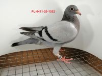 FLOREK RYSZARD PL-0411-20-1332