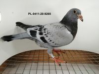 FLOREK RYSZARD PL-0411-20-9265
