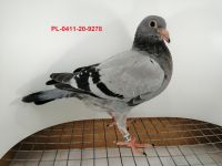 FLOREK RYSZARD PL-0411-20-9278 LINIA