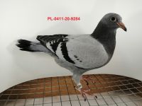FLOREK RYSZARD PL-0411-20-9284