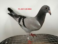 FLOREK RYSZARD PL-0411-20-9864 LINIA
