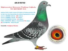 GB-19-V67743 SAMICA LOTOWANA NA WG - AUKCJA NOWOROCZNA