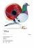 GB-23-V90706 