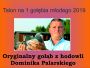 Gołąb z hodowli Dominik Palarski