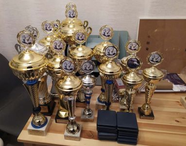 Gołębie młode 2022 z I lęgu po gołębiach lotowych