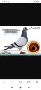 Grzegorz Nowak - bon na młodego