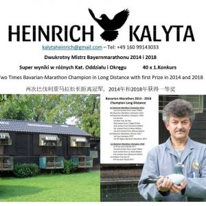 Heinrych  Kalyta