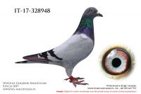 IT-17-328948