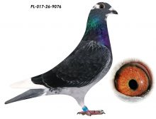 L. B. J. Geerinckx