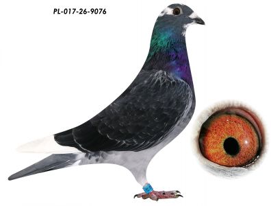 L. B. J. Geerinckx