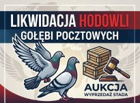 Likwidacja  Hodowli