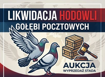 Likwidacja  Hodowli